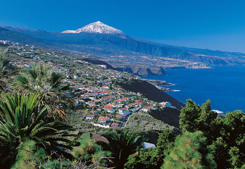 Nach La Orotava führt der neue Wanderweg „Große Verschiebungen“