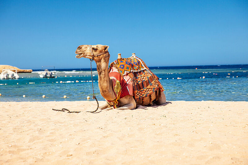 In den Urlaubsgebieten am Roten Meer gibt es derzeit noch viel Platz