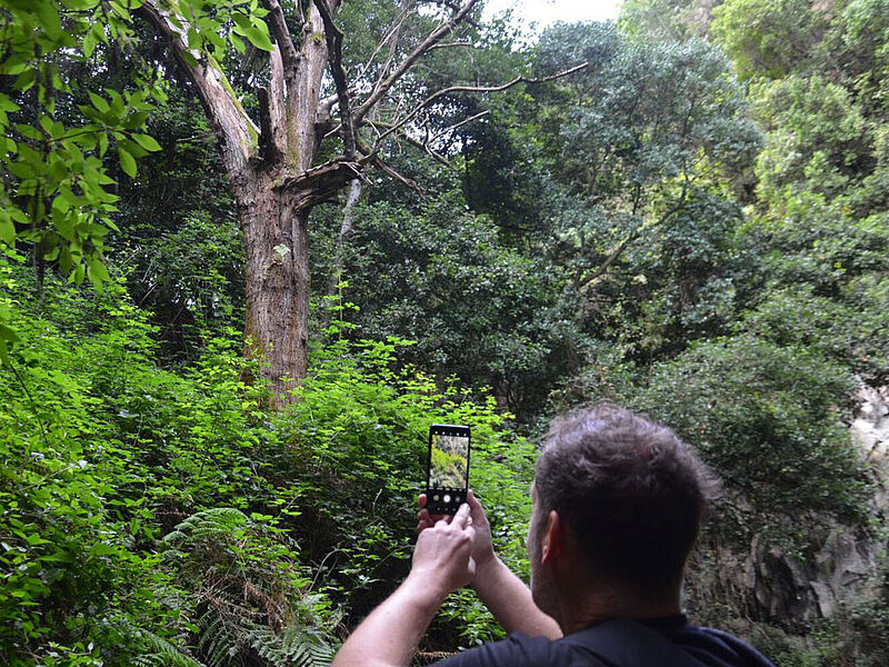 Bei der Social-Media-Reise nach La Palma sollen die Teilnehmer Content für ihre Social-Media-Kanäle sammeln. Foto: ras