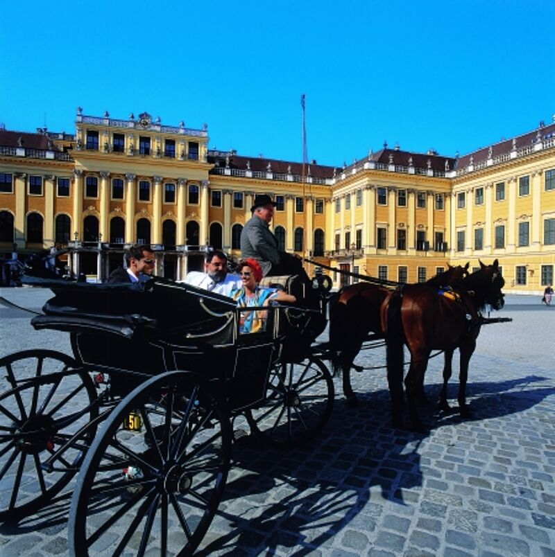 Nicht mehr so gut gebucht wie in den Vorjahren: Die Wiener Fiaker warten auf Kundschaft