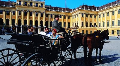 Nicht mehr so gut gebucht wie in den Vorjahren: Die Wiener Fiaker warten auf Kundschaft
