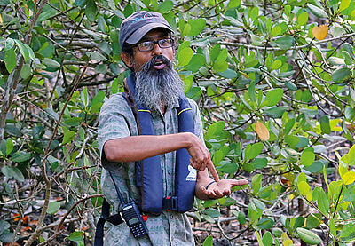 Sundarbans-Experte: Tanjilur Rahman Sundarbans-Experte: Tanjilur Rahman