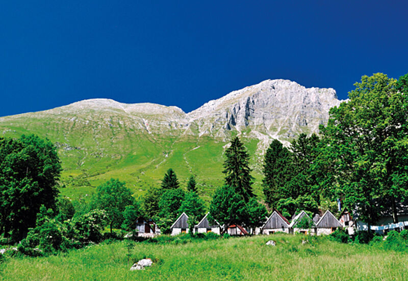 Saftig grüne Wiesen und oft auch strahlend blauen Himmel gibt es rund um die Kuhina-Alm in Slowenien.