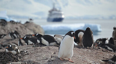 Unberührte Natur erwartet Expeditionsreisende in der Antarktis