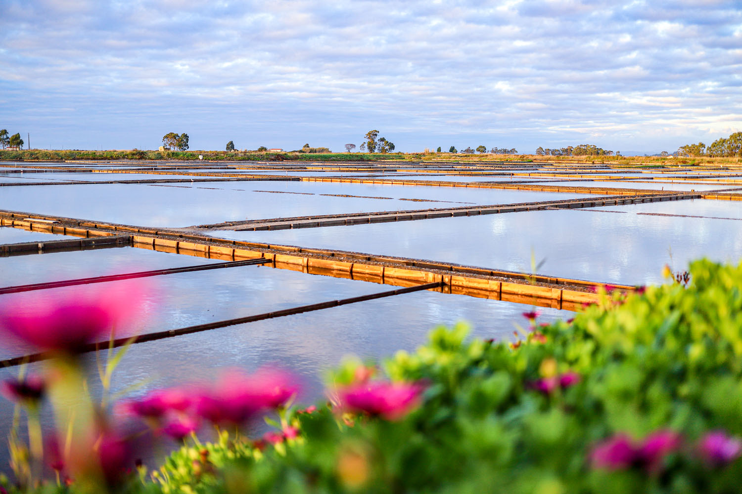 Die Salzgewinnung war einst ein wichtiger Wirtschaftszweig