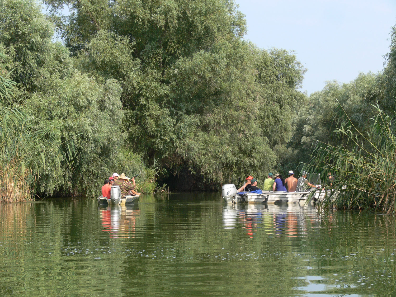 Im Donau-Delta fahren zwei mit Touristen besetzte Boote in Richtung bewaldetem Ufer