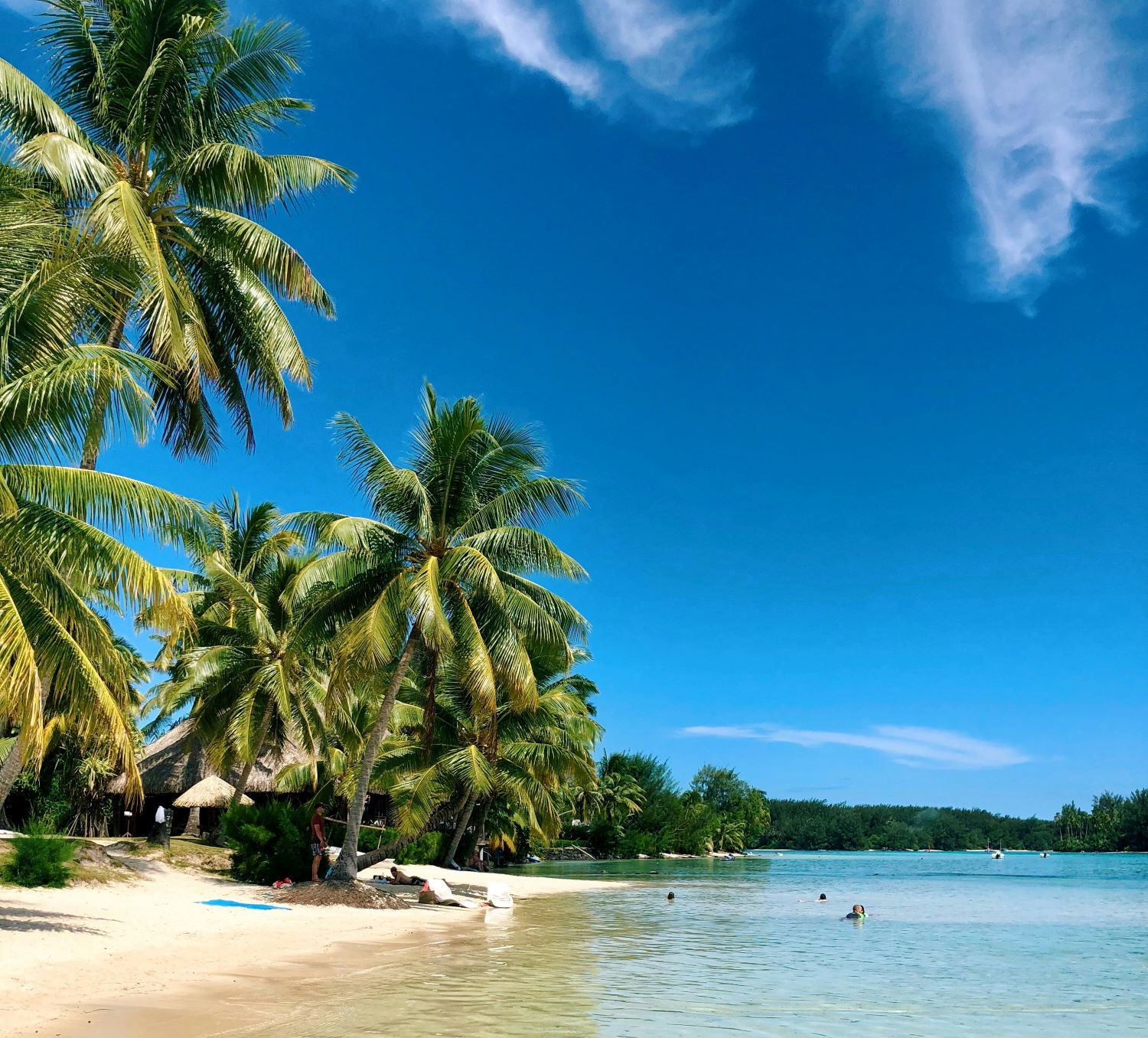 Eines der Ziele ist Französisch-Polynesien, im Bild Moorea. Foto: Nicko Cruises