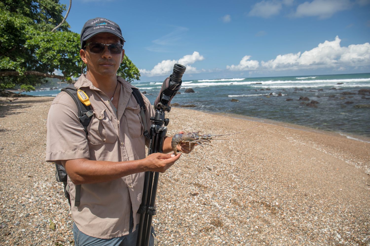 Ein Mann mit Panamahut und Sonnenbrille an einem Strand in Costa Rica. In der Hand hält er eine Kamera und ein Meerestier.