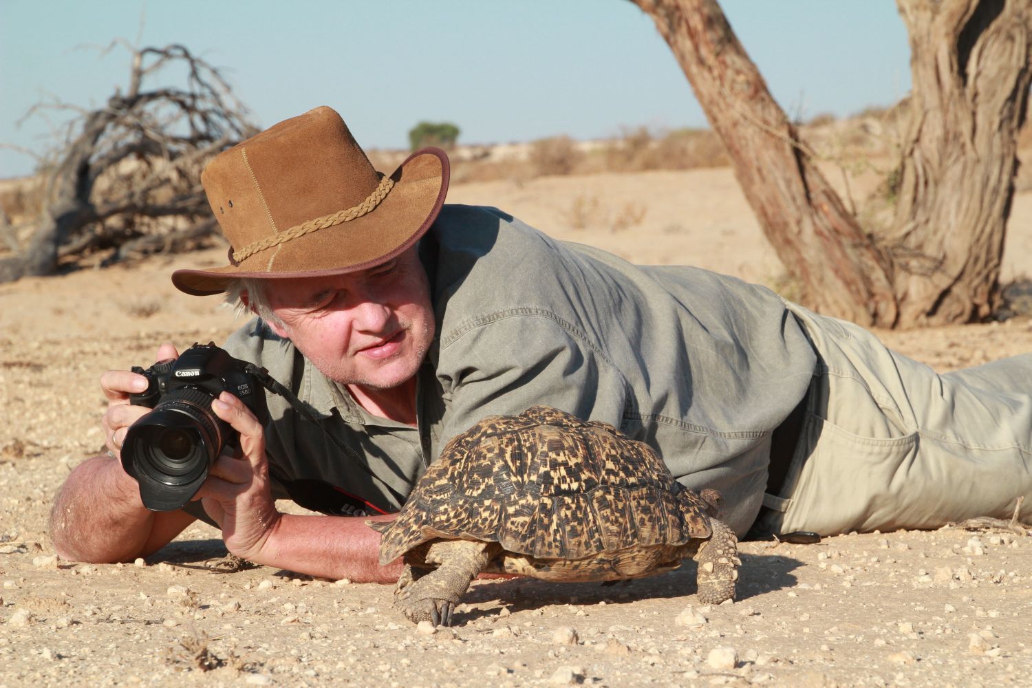 Ein Mann mit braunem Hut und Kamera liegt in der Wüste auf dem Boden und beobachtet aus nächster Nähe eine Leopardenschildkröte.