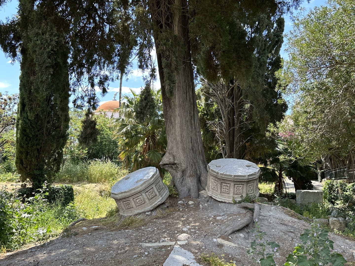 Die antike Agora von Kos-Stadt ist nur zum Teil ausgegraben