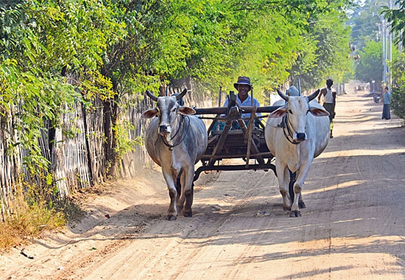 Wie früher: Auf dem Dorf sind Autos und Internet noch die Ausnahme.