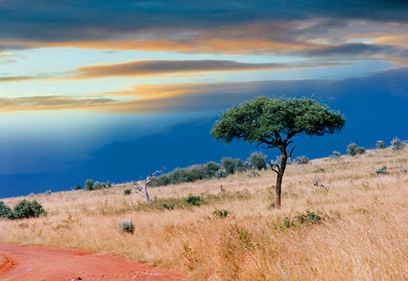 In der Masai Mara herrscht früh am Morgen eine ganz besondere Stimmung.