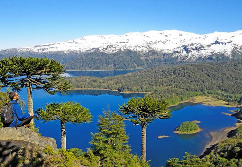 Der Nationalpark Conguillio in Araucania