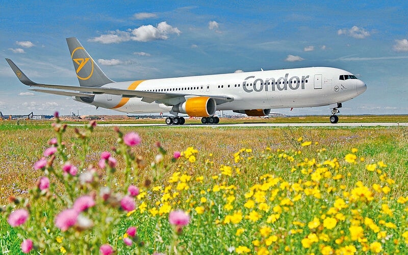 Condor startet im Sommer mit 300 wöchentlichen Verbindungen