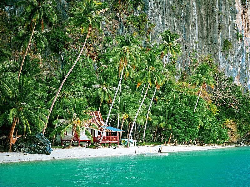 Auf der Insel Palawan sind 100 Prozent der touristischen Mitarbeiter gegen Covid-19 geimpft. Foto: danilovi/istockphoto