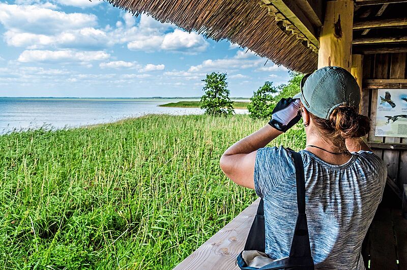 Auf den Spuren der Seeadler: Vogelbeobachtung im Nationalpark