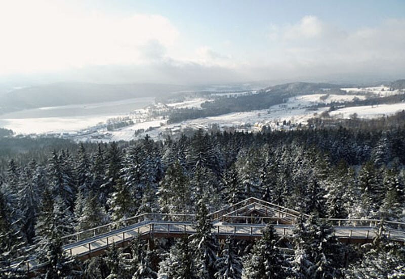Lipnos neues Wahrzeichen: der Baumwipfelpfad.