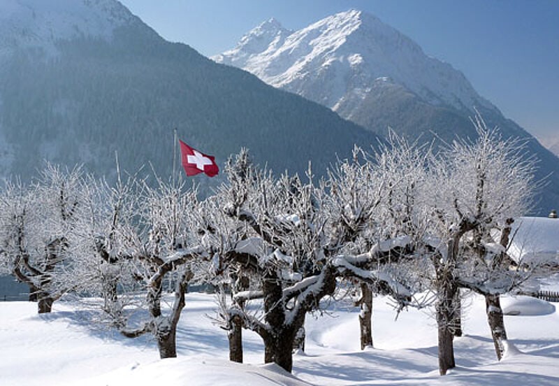 Ein verschneiter Obstgarten in Guarda zeigt Flagge.