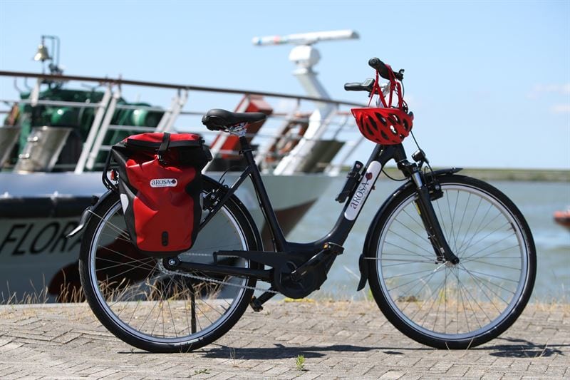 Auf über 40 verschiedenen Fahrradausflügen erkunden die Gäste Europas Highlights. Foto: Arosa Flussschiff GmbH/ Tom Kohler