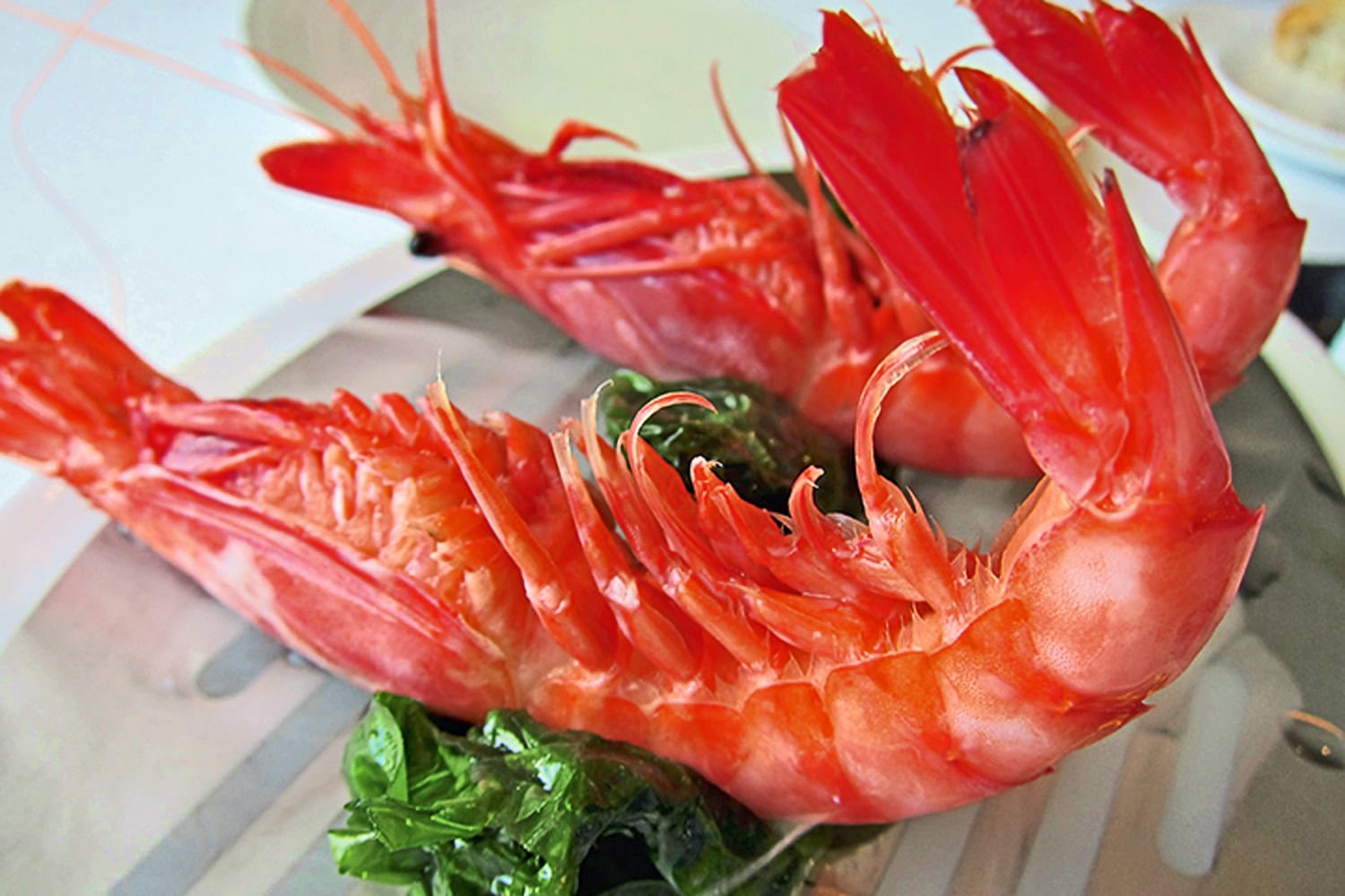 Sehr rot, sehr lecker: die Rote Gamba