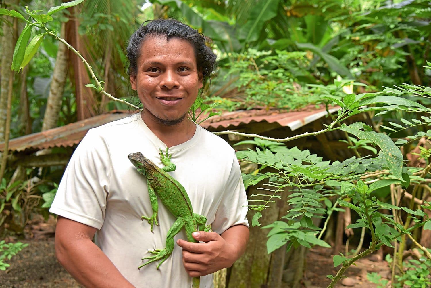 Ein lächelnder Mann steht im tropischen Regenwald und hält eine grüne Leguan-Echse an seiner Brust. Er trägt ein weißes T-Shirt und blickt direkt in die Kamera. Um ihn herum wachsen üppige grüne Pflanzen, im Hintergrund ist ein kleines Gebäude mit Wellblechdach zu sehen.