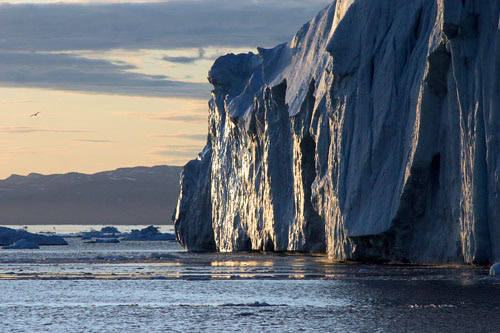 In der Sonne glänzen die Eisberge wie Bernstein. Fotos: al