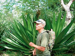 Hip in Camouflage: Guide Alexis.