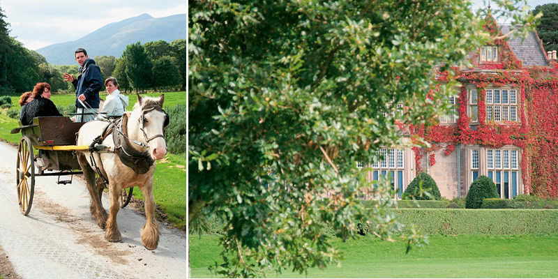 Beliebtes Fortbewegungsmittel in Killarney ist die Kutsche. Dreh- und Angelpunkt des Killarney Nationalparks ist Muckross House.