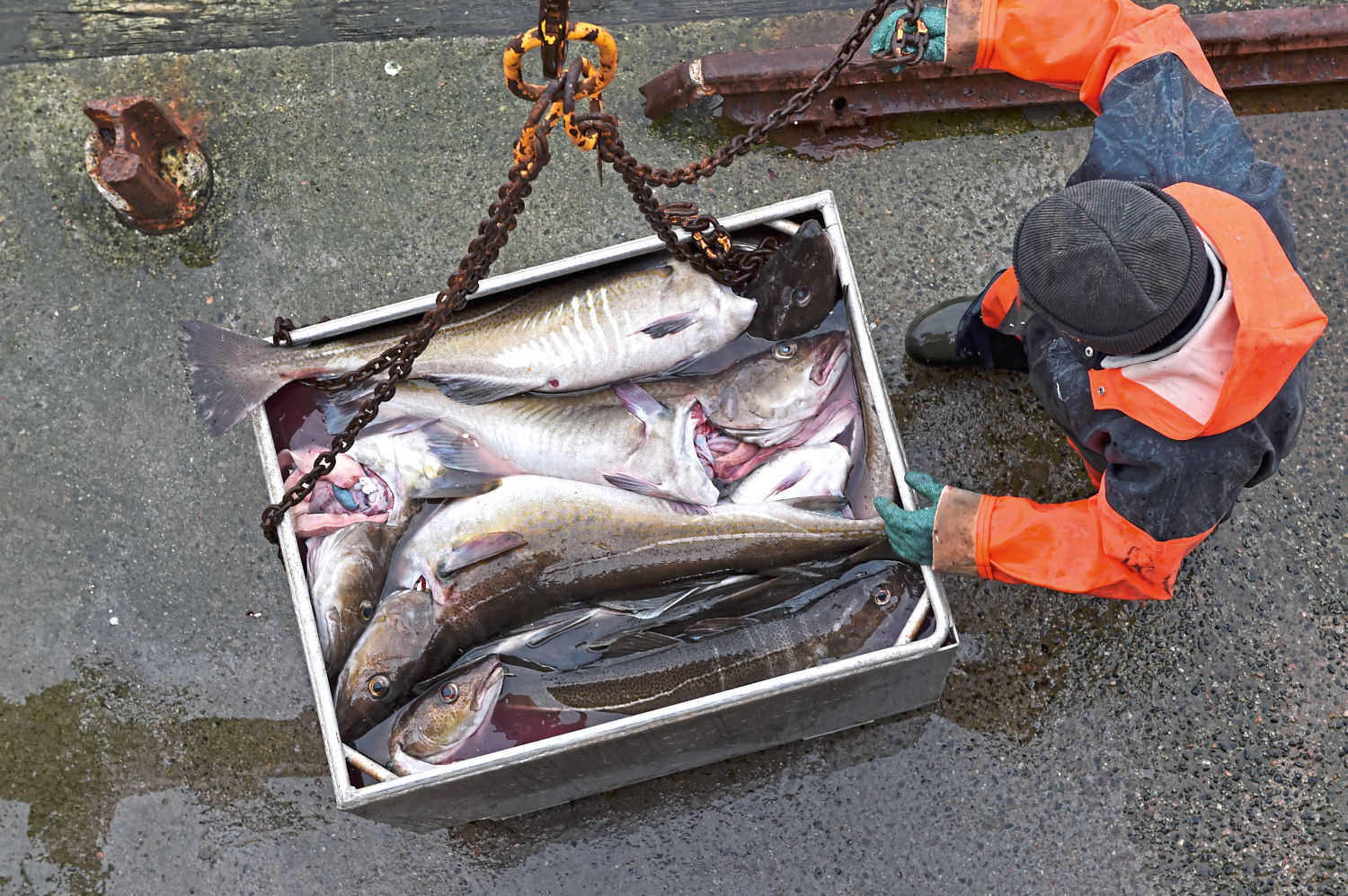 Bild von oben auf einen Fischer, der eine Fischkiste verlädt
