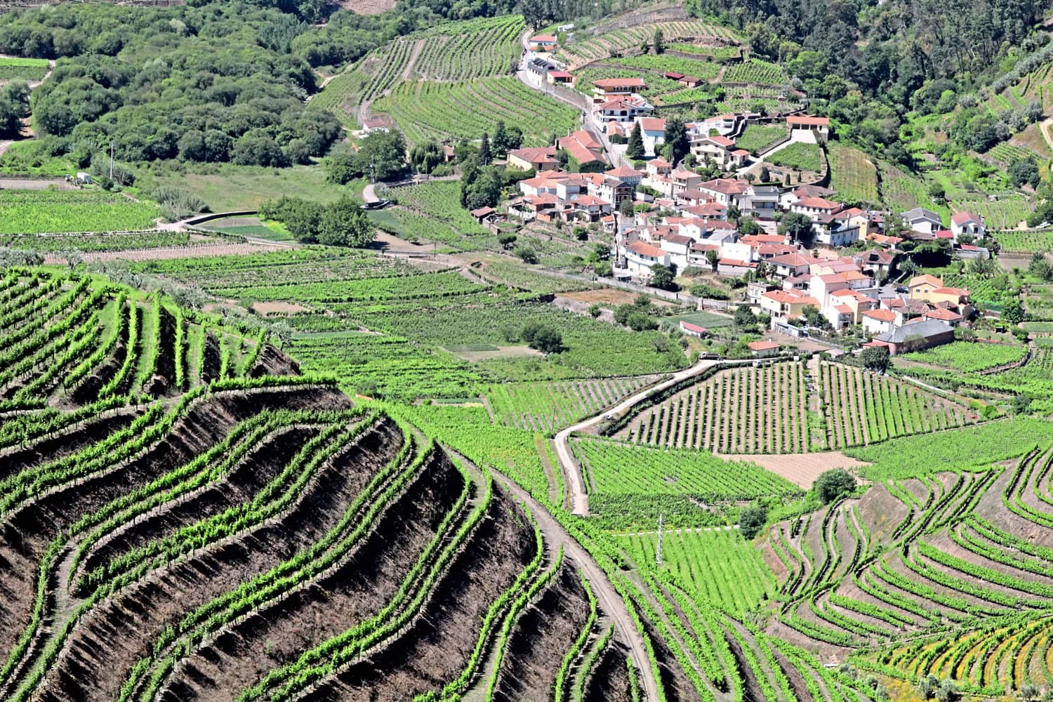 Eine der landschaftlich reizvollsten Gegenden an der N2 ist das Dourotal
