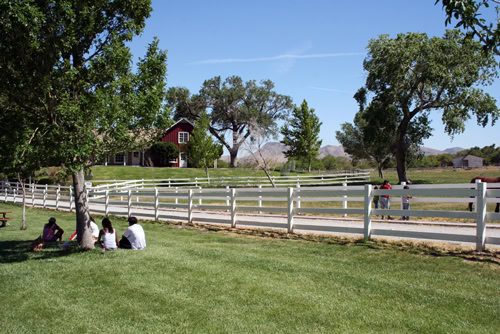Im Spring Mountain Ranch State Park findet man Schatten und Entspannung. Fotos: rie