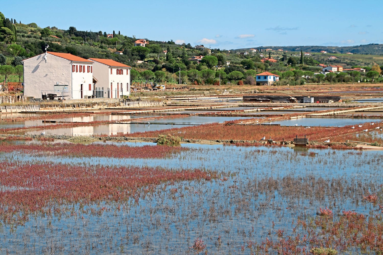 Die ehemaligen Salzgärten sind heute das Revier von verschiedenen Vogelarten