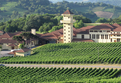 Nicht Rheinhessen, sondern Südbrasilien: das Weingut Miolo. Fotos: evs, PR