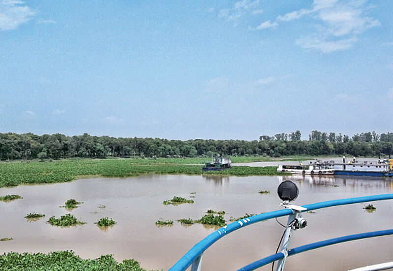 Die größten Mangrovenwälder der Erde sind die Heimat des Bengalischen Tigers.