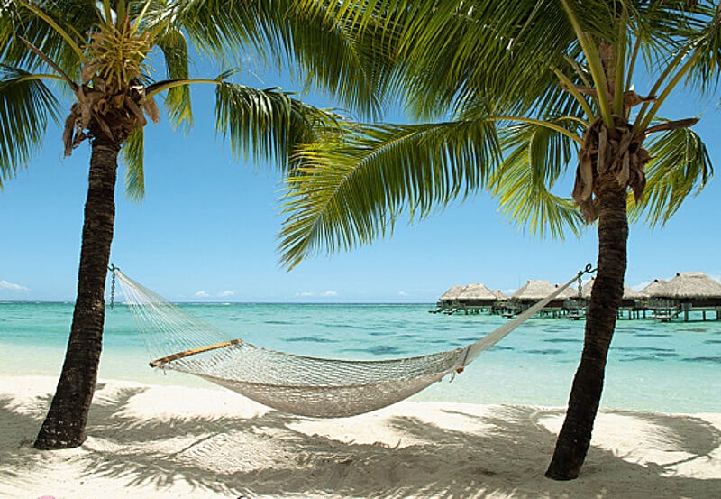 Südsee-Traum: Palmen, Hängematte und die Bungalows des Sofitel Moorea Ia Ora Beach Resorts