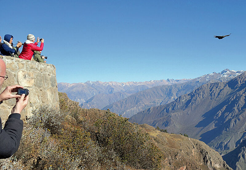 Grandioser Blick: Aussichtspunkt „Kreuz des Kondors“ hoch über dem Colca-Canyon