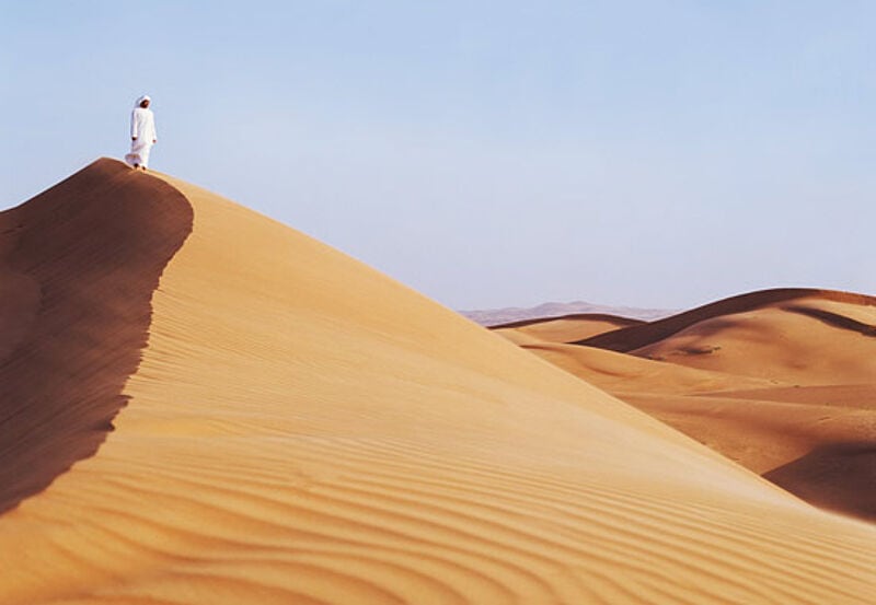 Dünen über Dünen: Die Rub al-Khali ist von Abu Dhabi aus nur einen Katzensprung entfernt