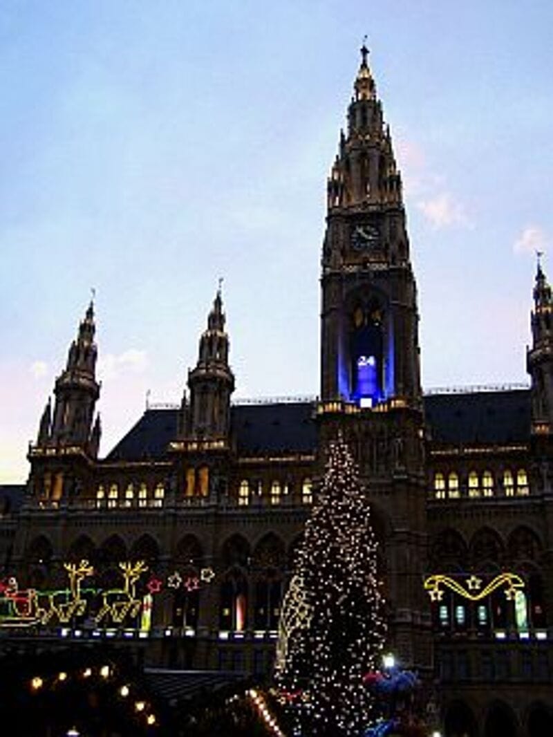Das festlich erleuchtete Wiener Rathaus mit dem größten Weihnachtsbaum auf dem Platz.