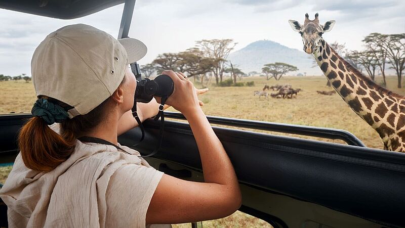 Immer mehr Touristen reisen nach Tansania. Eines der Highlights ist eine Safari