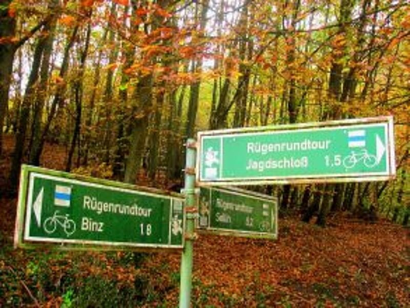 Aktive Touristen können in der Granitz wandern oder radeln. Foto: pa