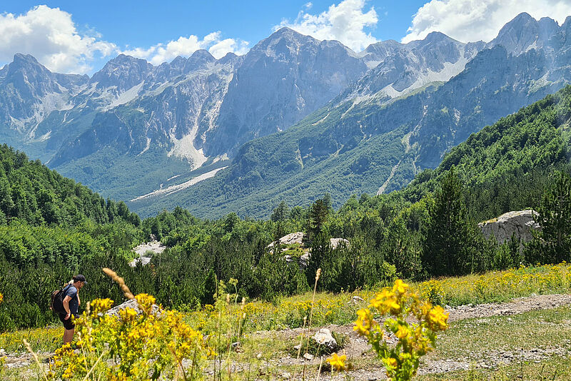 Gelbe Blumenwiese vor einem bergigen Hintergrund. Blauer Himmel mit ein paar Wolken
