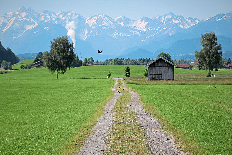 Auf der Wasserläufer-Route hat man immer wieder tolle Aussichten auf die Alpen, hier bei Rettenberg