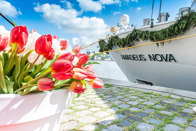 Am 15. Juni startet die frisch getaufte Amadeus Nova zu ihrer Jungfernfahrt auf der Donau