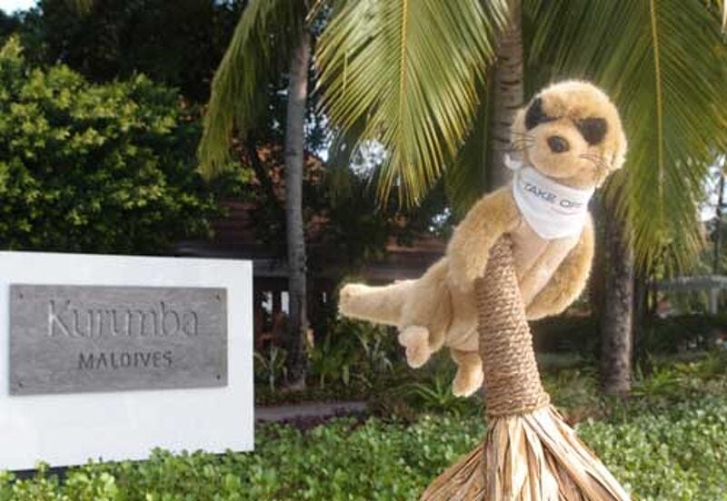Ganz seiner Erdmännchen-Art entsprechend schaut sich das Take-Off-Reisemaskottchen Carlos aufmerksam um - hier auf den Malediven