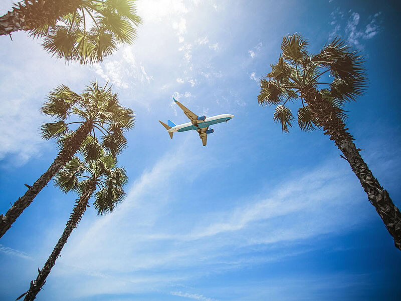 Flugzeug fliegt zwischen Palmen am blauen Himmel, tropische Urlaubsatmosphäre.