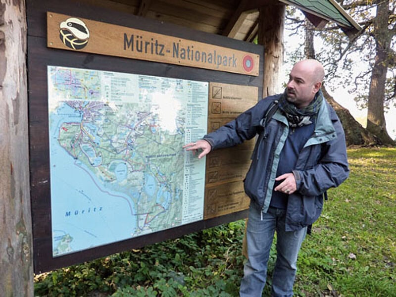 Ranger Martin Kaiser begleitet Wandergruppen durch den Müritz-Nationalpark. Fotos: gsg
