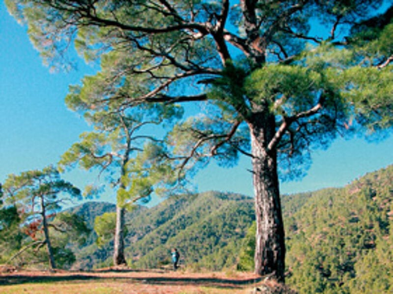 Erst ruft der Berg - dann die Einkehr.