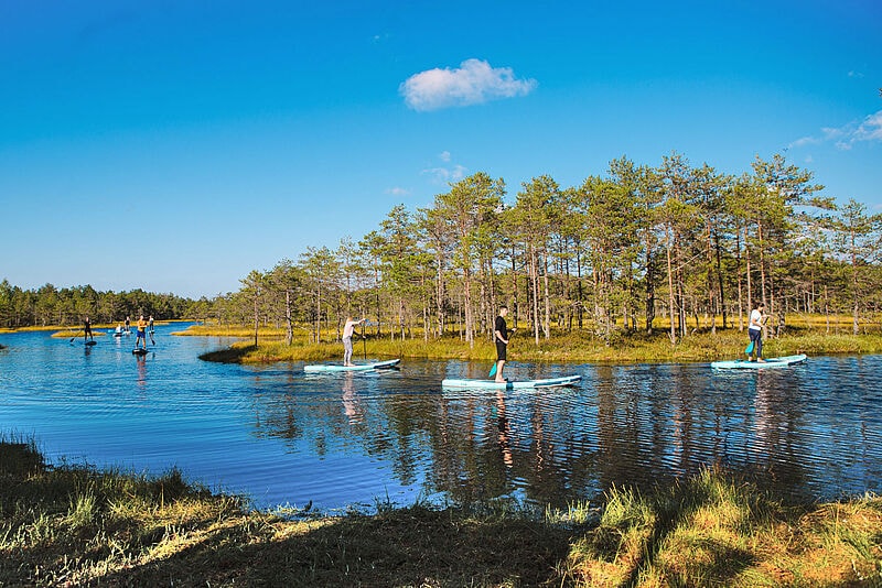 SUP-Boarding im Moor – Estland punktet mit viel Natur und Nachhaltigkeit