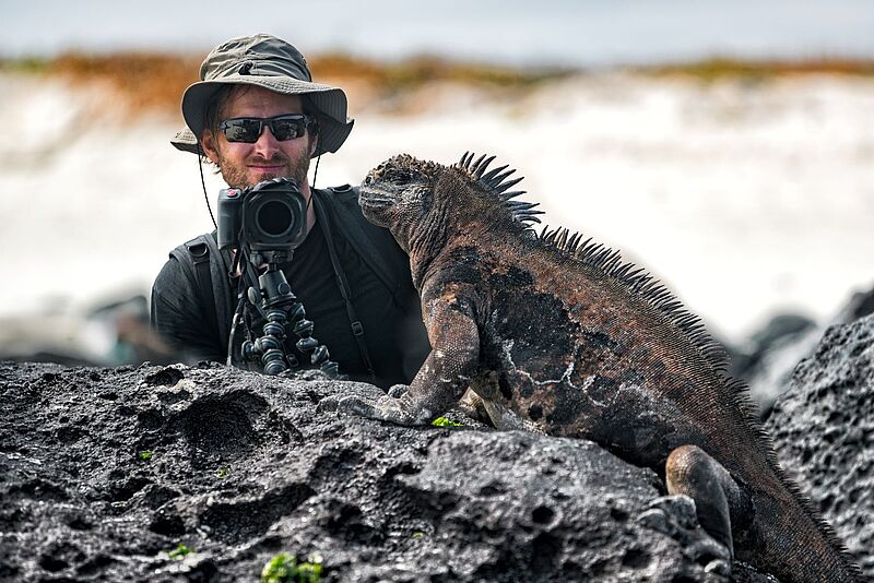 Die Eintrittsgebühren für die Galapagos-Inseln wurden deutlich erhöht. Foto: maridav/iStock