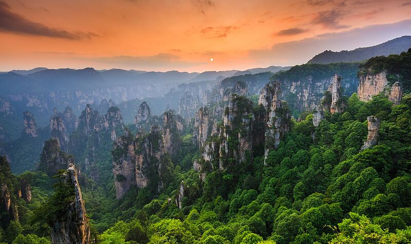 Spektakuläre Sandsteinfelsen im Zhangjiajie-Nationalpark in China, die aus einem üppigen, grünen Wald emporragen, unter einem orangefarbenen Himmel zum Sonnenuntergang.